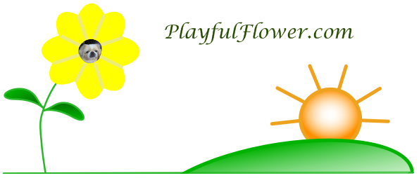 Playful Flower logo 2011